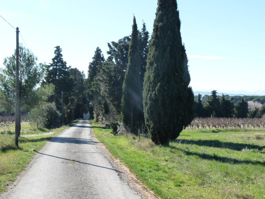 Chateau La Bouriette Moussoulens Bagian luar foto