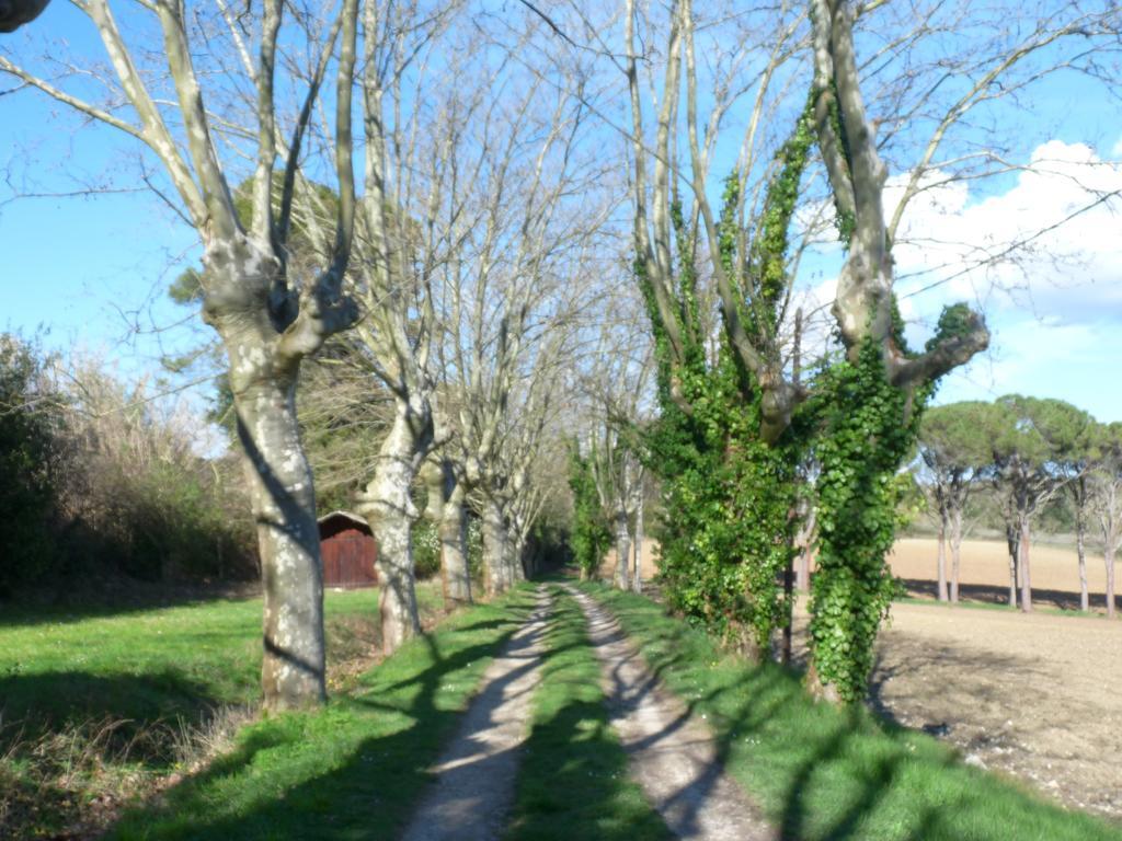 Chateau La Bouriette Moussoulens Bagian luar foto