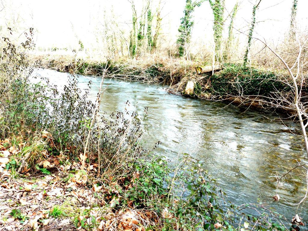 Chateau La Bouriette Moussoulens Bagian luar foto